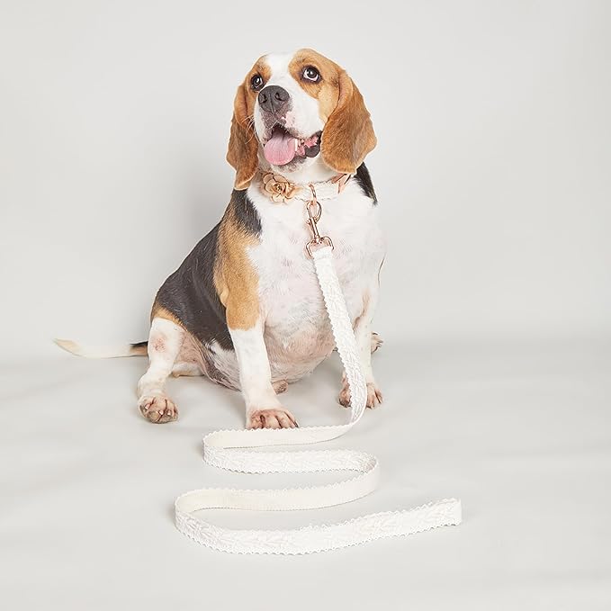 Lace Dog Collar Set Soft and Easy to Clean Handmade Embroidered Dog Collar with Leash for Medium Dogs Cute Dog Flower Girl Wedding Collar with Bow for Small Medium Large Dogs (White,M)