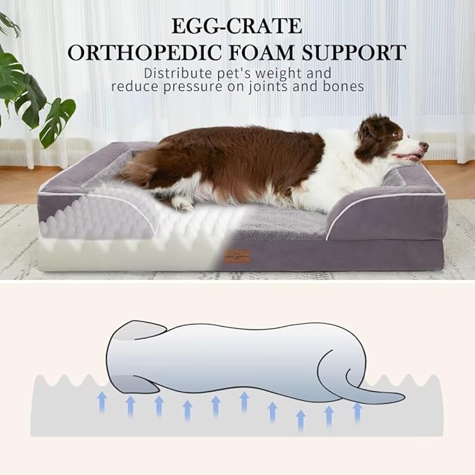 Comfort Expression Jumbo Dog Bed for Extra Large Dogs, Large Breed Waterproof Orthopedic Dog Bed, PV Washable Dogs Sofa Beds with Removable Cover & Non-Slip Bottom(Jumbo,Purple)