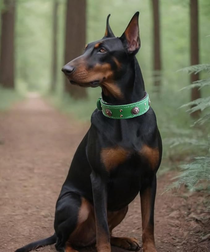 Leather Dog Collar, 2 inches Wide Heavy Duty Genuine Leather Collars, Handmade, Soft, and Luxury, Eye-catching Best Choice for Large and Medium Breed Dogs, Green 22.5-26.5 inches