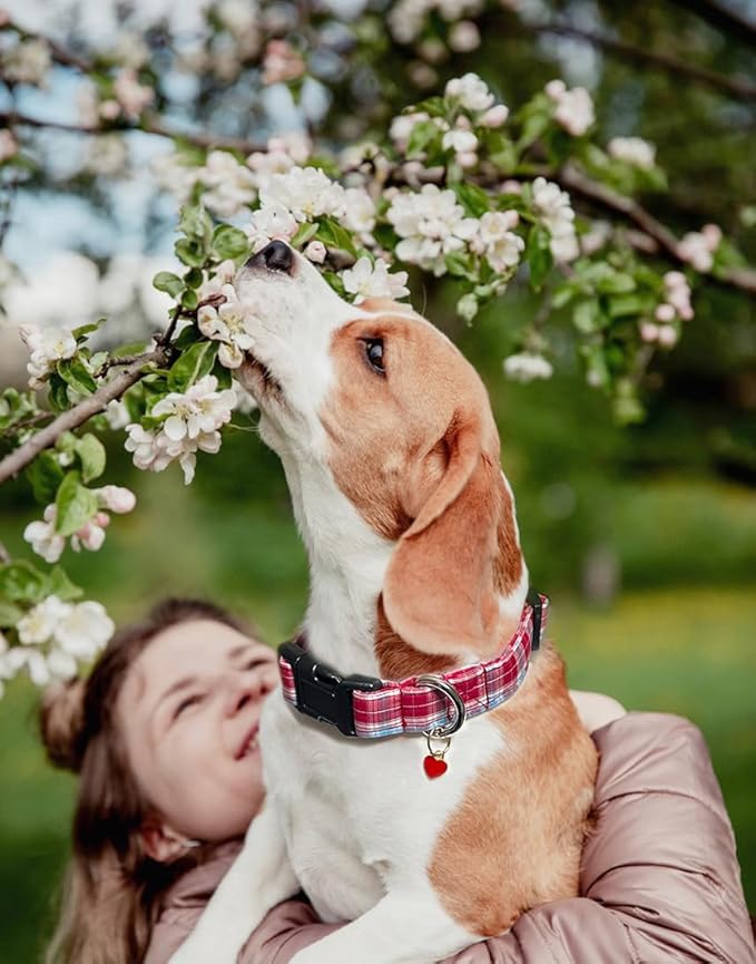 Bubblepup Dog Collar, Adjustable Dog Collar for Small Medium Large Dogs with Soft Cotton & Quick-Release Buckle