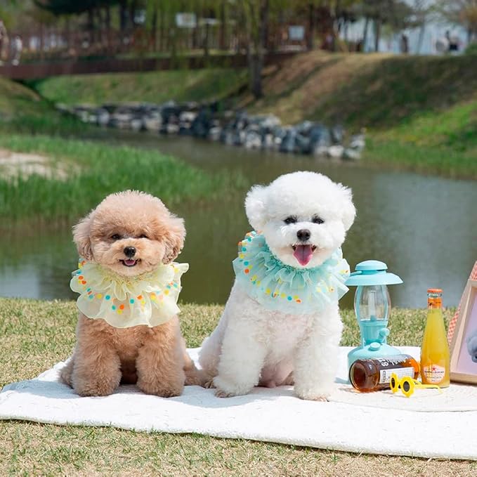 Jelly Bean Cape // pet Scarf, Pet Bib, Dog Bandanas, Round Neck Scarf/pet Accessories for Small, Medium, Large Dogs,Cat (XLarge, Yellow)