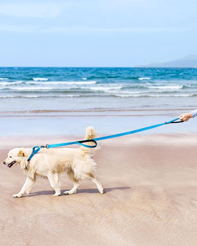 FunTags Reflective Martingale Collar for Dogs, Quick Release Buckle, 5FT Double Handle Dog Leash Padded, Dog Collar and Leash Set, Adjustable for Puppy Dogs (Sky Blue, XS)