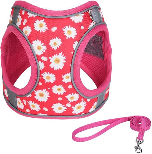 XXS ROSEO Flower Pattern Dog Harness and Leash Set,No Escape Puppy Harnesses for Training Walking，Breathable Adjustable Puppy Vest for Small Medium Dogs, Cats (ROSEO, XXS)