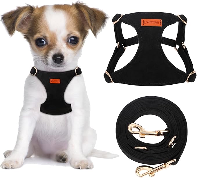 CHEDE No Pull Puppy Harness and Multifunction Dog Leash Set- 8 Colors Soft Adjustable No Choke Escape Proof Cute,Lightweight Pet Vest Harness for Small and Medium Dog (XS, Black)