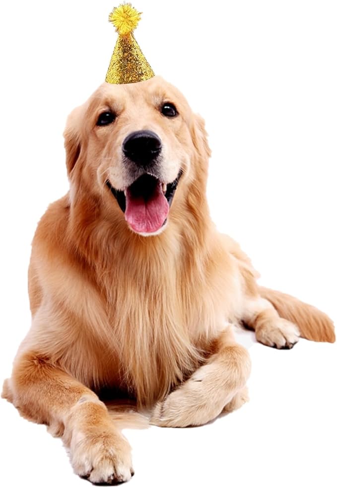 Dog Birthday Hat Set for Small Medium Dogs Cat Puppies, Mini Party Hat with Adjustable Headbands, Cute Pet Hat with Pompons for Birthday Christmas Party Decoration Accessories (20pcs Small)