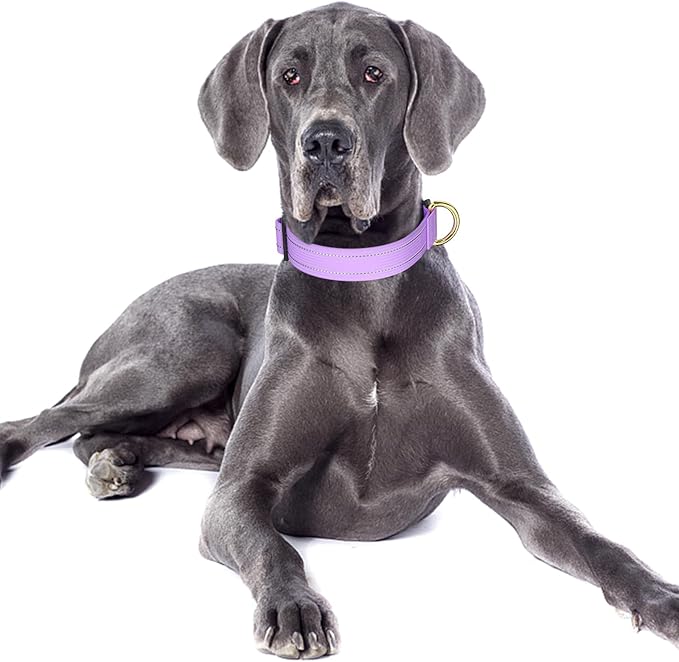 Reflective Dog Collar for Large Dogs, Cute Adjustable Heavy-Duty Nylon Puppy Collars for Boy and Girl Female, Soft Pet Accessories with Quick Release Buckle, Neck 16-24", Purple