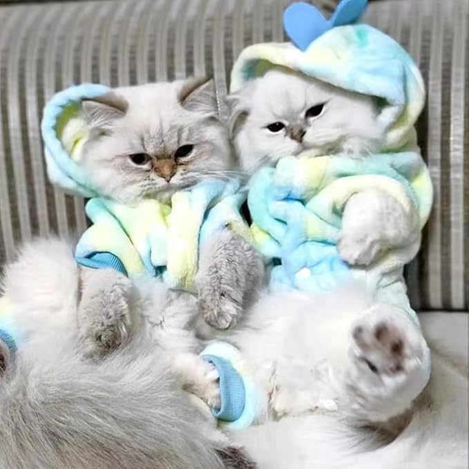 Dinosaur Dog Clothes for Small Dog Girl Boy, Fleece Winter Puppy Hoodies with Leash Ring, Cold Weather Coat for Cat, Funny Dinosaur Costume for Christmas Halloween (Green, X-Large)