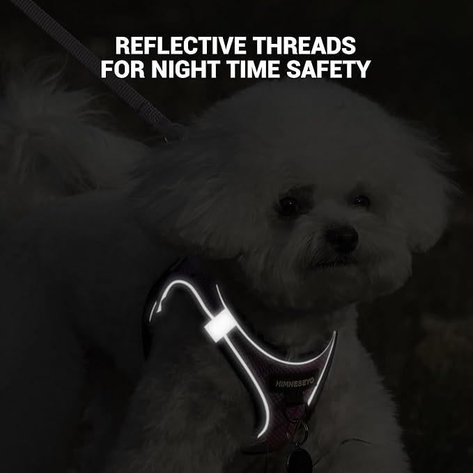 Dog Harness and Leash Set, Dog Harness for Dogs No Pull, No-Chock Step-in Reflective Breathable Lightweight Easy Walk Vest Harnesses with Safety Buckle for Small Medium Dogs, Cats (Light Purple, XS)