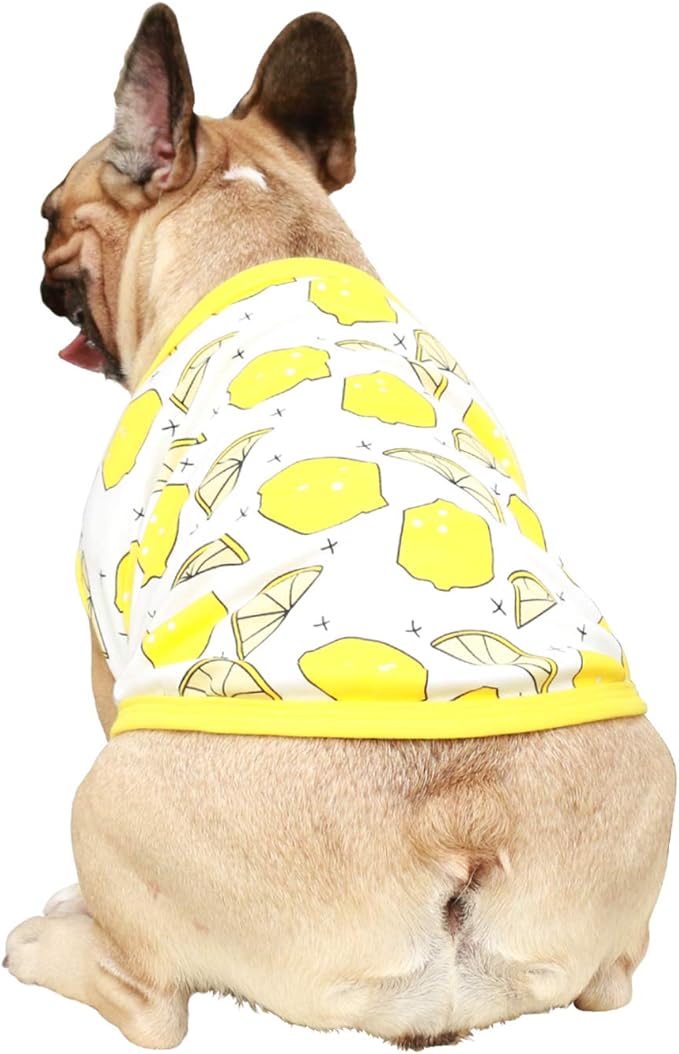 iChoue 100% Breathable Cotton French Bulldog Halloween Cartoon T Shirts Cute Clothes for Medium Dogs Vest Tank Tops Frenchie Pug Small Puppy English Boston Terrier Lemon - Large