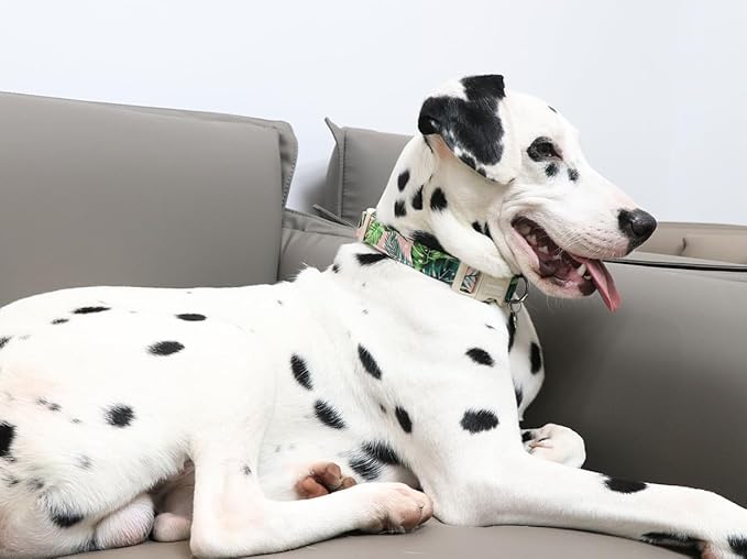 DOGWONG Cotton Dog Collar, Heavy-Duty Dog Collar Durable Soft Boy Dog Collar Cute Wedding Puppy Necklace for Small Medium Large Dog