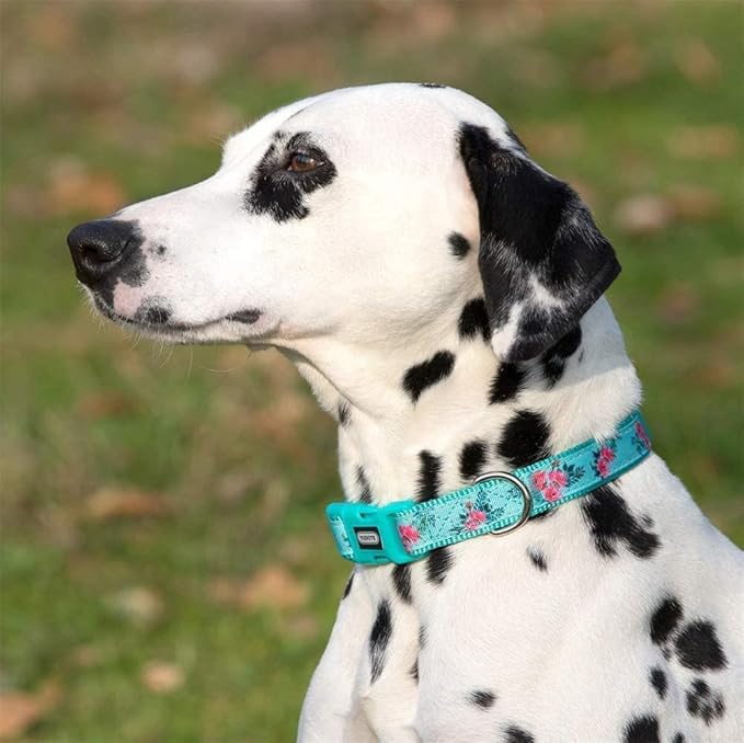 Green Flower Pattern Dog Collar, Nylon Webbing Plus Polyester Ribbon 2 Layers, for Large Dogs(Large, Green Flower)