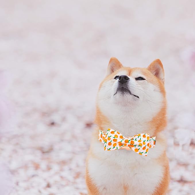 Elegant little tail Dog Collar, Dog Collar with Bowtie, Peach Cute Pink Pet Collar Bow Dog Collars Adjustable Dog Collar for Large Dogs