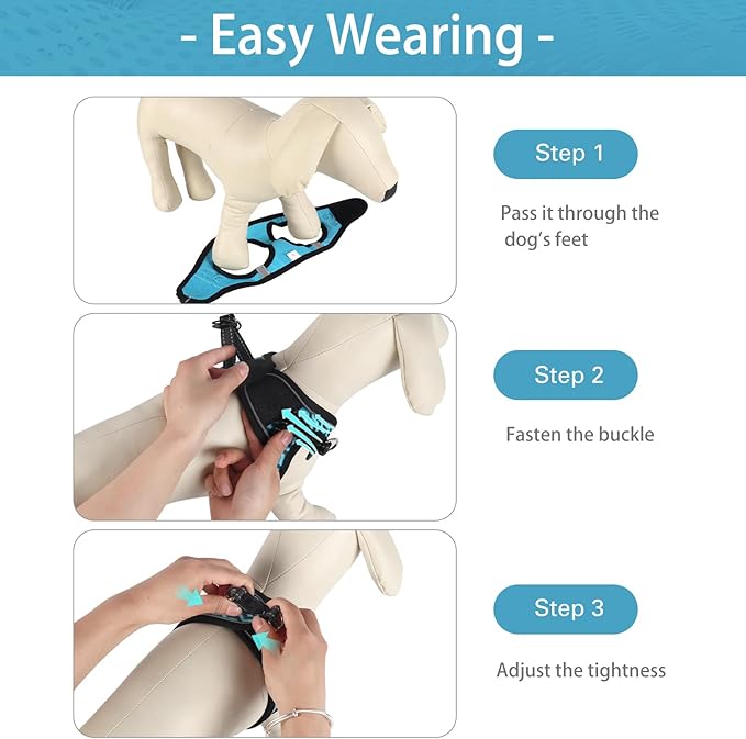 Dog Harness for Small Dogs and Leash Set, Honeycomb Grid, Reflective Lightweight Harness & Anti-Twist Pet Lead (Multi Color, Size: XS-S-M) (M, Blue)