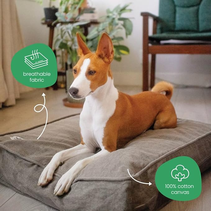 Molly Mutt Jupiter Dog Bed Duvet Cover, GOTS-Certified 100% Cotton Canvas Cover for Dog, Puppy, or Cat Bed, Durable, Washable, and Free of Harmful Chemicals, Small, 22"x27"x5", Brown