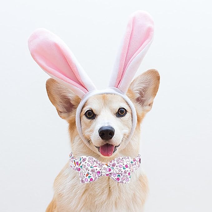 Lionheart glory Dog Bow Collar Easter Day Dog Collar for X-Small Dogs,Easter Rabbits Eggs Colorful Dog Collars with Bowtie Spring Bunnies Carrots Collars Puppy Collar Bows