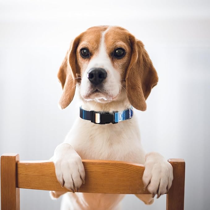 Dog Collars for Large Dogs with Cute Blue Stripes Design for Boys Dog, Adjustable Soft Pet Collar for XS Small Medium Large Dogs (XL)