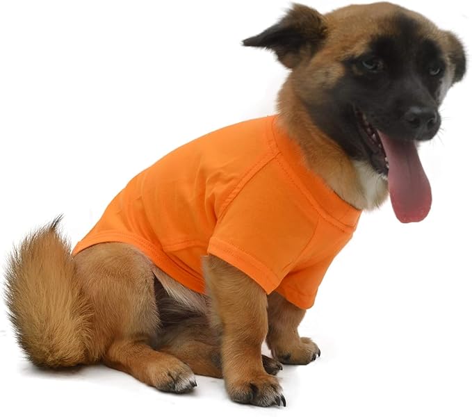 Lovelonglong Pet Clothing Dog Costumes Dachshund Clothes Blank T-Shirt Tee Shirts for Dachshund Dogs,Corgi 100% Cotton Orange D-L