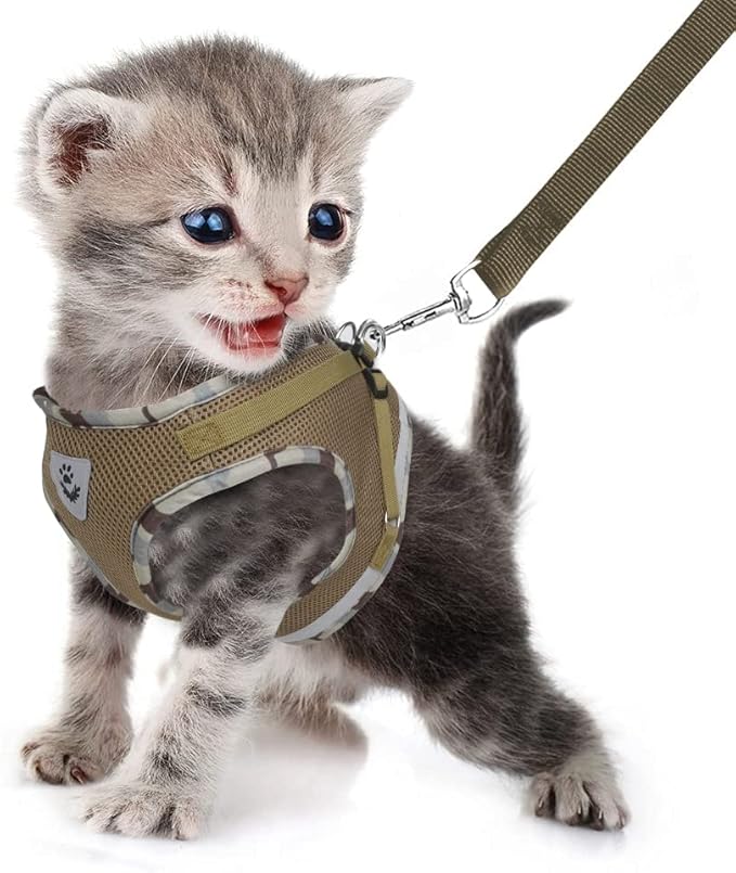 FEimaX Dog Harness and Leash Set for Walking, Soft Mesh Adjustable Easy Control Lightweight Cat Vest Harnesses with Reflective Strips, Escape Proof Small Dogs Cats Vests