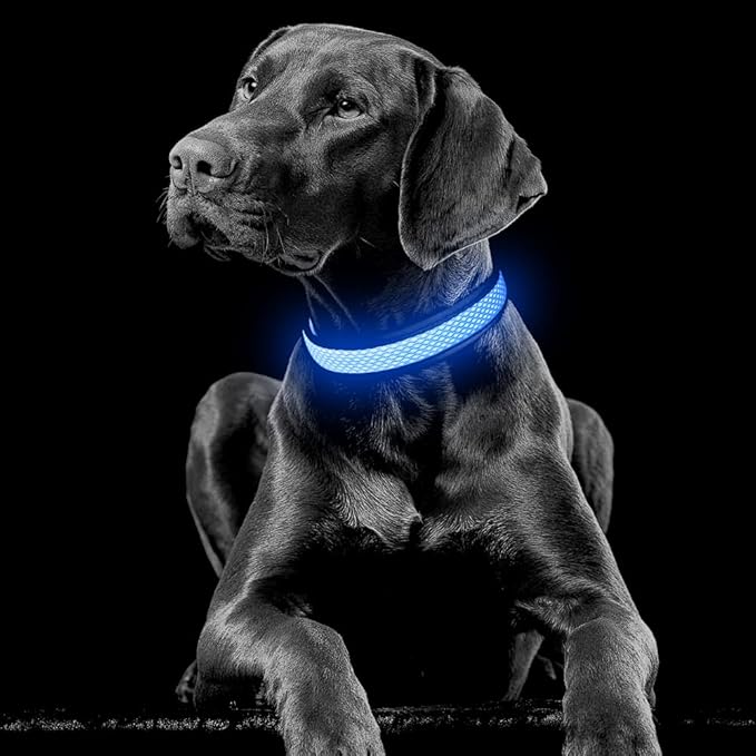 YFbrite Light up Dog Collar, USB Rechargeable LED Puppy Collar Super Bright Adjustable Glowing Dog Lights for Night Walking (Blue, Small)