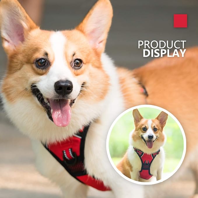 PoyPet No Pull Dog Harness, [Release on Neck] Reflective Adjustable No Choke Pet Vest with Front & Back 2 Leash Attachments, Soft Control Training Handle for Small Medium Large Dogs(Red,XS)