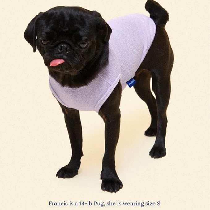 Little Beast Dog Clothes - Pet Clothes for Large, Medium, and Small Dogs (Dog Shirts Come in Multiple Colors and Styles) - Size: Small Dogs, Purple