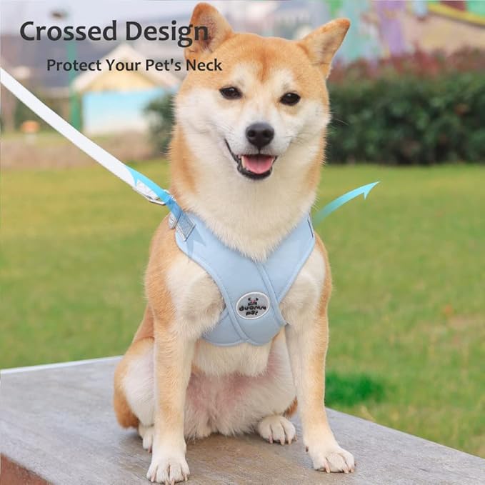 FEimaX Dog Harness Pet X Frame No Pull Step-in Harnesses with Leash Set, Adjustable Reflective Choke Free Puppy with Padded Vest for Small, Medium Dogs and Cats Walking Training