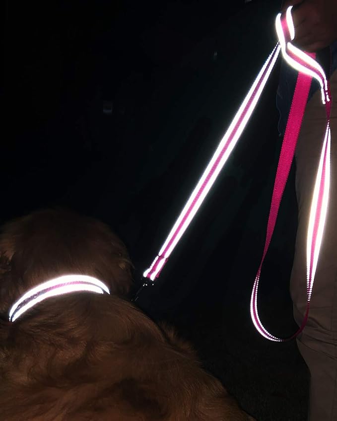 Joytale Double-Sided Reflective Dog Leash, 6 FT/5 FT/4 FT, Padded Handle Nylon Heavy Duty Leashes for Medium & Large Dogs Walking, Hotpink, 6FT