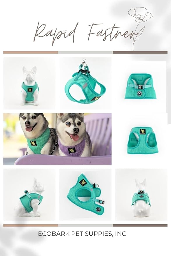 EcoBark XS Dog Harness for XXS, XS, Sm & Medium Size Dogs & Puppies - No Pull Soft Luxury Mesh - Step in Harness Small Sized Vest - Cute Adjustable Little Halter Body Wrap 5-6 lbs (X-Small, Mint)