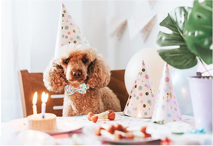 Unqiue Style Paws Birthday Dog Collar, Soft and Cute Dog Bow Tie, Durable Pet Collar with Bow Adjustable Bow Dog Collar for X-Large Dogs