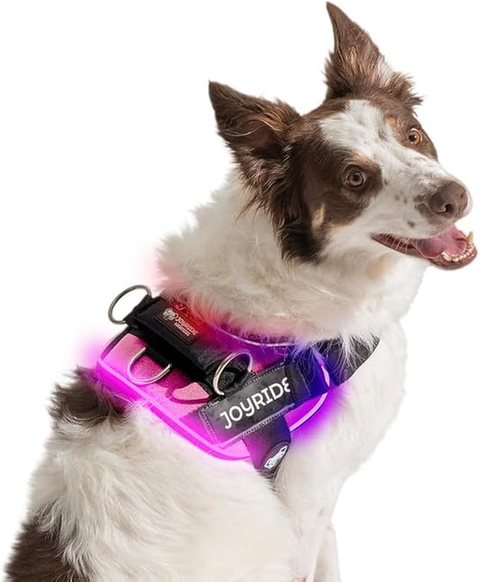 Joyride Harness LED Light Up Dog Harness 2.0 - Patent Pending Design, 3 LED Modes, Vibrant Rechargeable Lighting, Customizable Name Tag Area, and Convenient On/Off Button for Enhanced Pet Safety