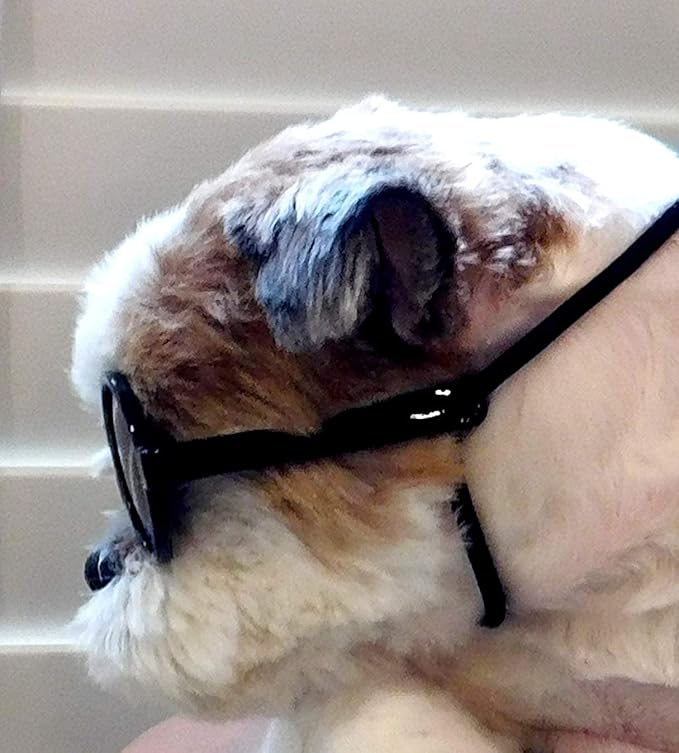 G016 Small Breed Dog up to 15lbs Pet Cat Round Tiny Sunglasses (Black)