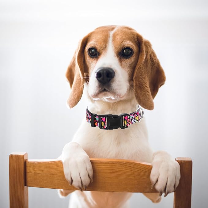 Dog Collar for Puppy Small Dogs with Love Hearts, Pink Girl Boy Dog Collar Adjustable Comfy Wedding Dog Collar with Safety Buckle for Small Medium Large Dog on Valentine's Day, Birthday (XS)