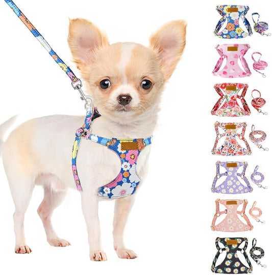 SlowTon No Pull Dog Harness with Leash - Soft Lightweight Floral Pattern Puppy Harness, Adjustable Pet Harness for Small Medium Dogs (Blue Flower XXS)