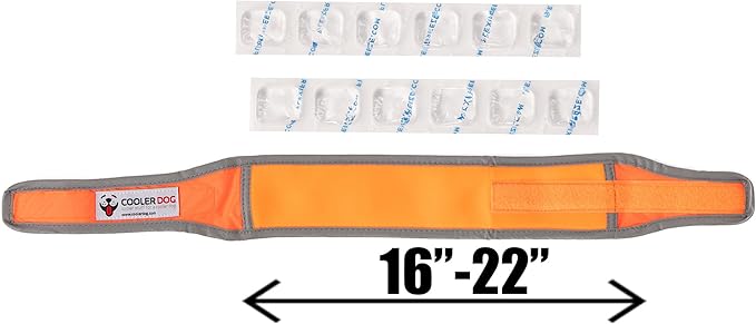 Hi-Vis Dog Cooling Collar - Orange Reflective Re-Freezable Ice Collar (Medium)