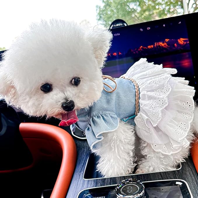 Girl Dog Denim Dress with Flared Sleeves Dog Jeans Jacket Blue White Puppy Clothes for Small Dogs Cat Apparel Cake Skirt Pet Outfit (Blue, X-Small)