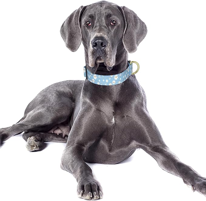 Reflective Dog Collar for Large Dogs, Cute Daisy Theme Adjustable Heavy-Duty Nylon Puppy Collar for Boy and Girl Female, Soft Pet Accessories with Quick Release Buckle, Neck 16-24", Blue