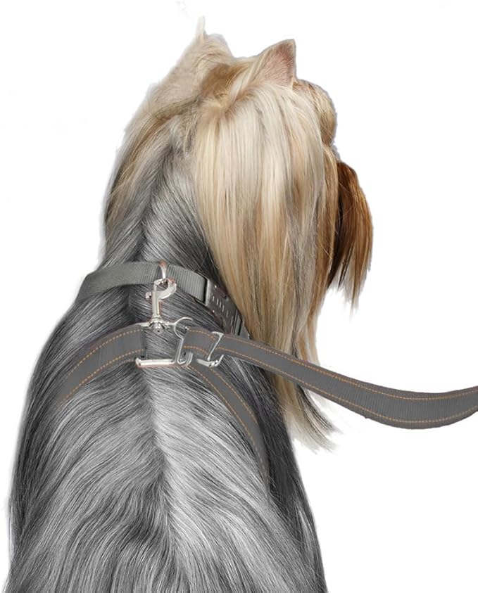 No-Pull Dog Leash (Large (Over 25 lbs), Grey)