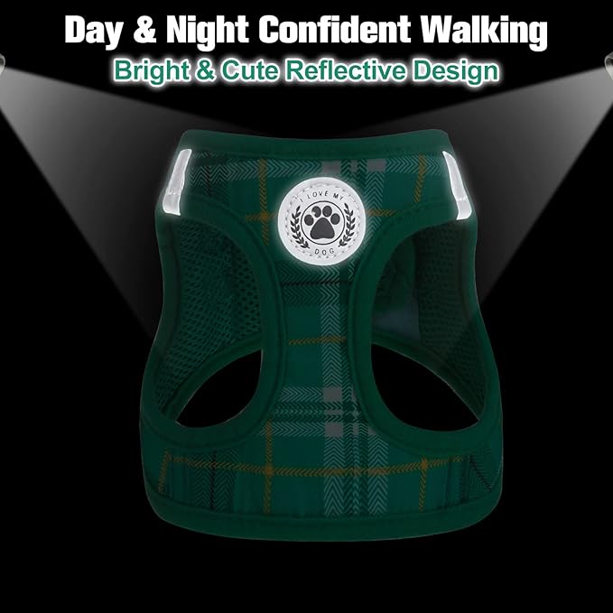 BEAUTYZOO Small Dog Harness and Leash Set,Step in No Choke No Pull Soft Mesh Dog Harnesses Reflective for Extra-Small/Small Medium Puppy Dogs and Cats, Plaid Dog Vest Harness for XS S Pets,Turquoise M