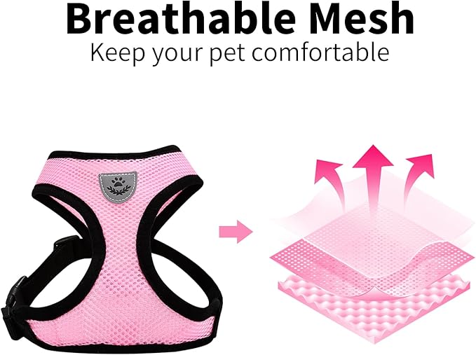 Adjustable Chicken Harness with Leash Small Pet Harness and Leash for Duck Hen Goose Walking, Blue (S)