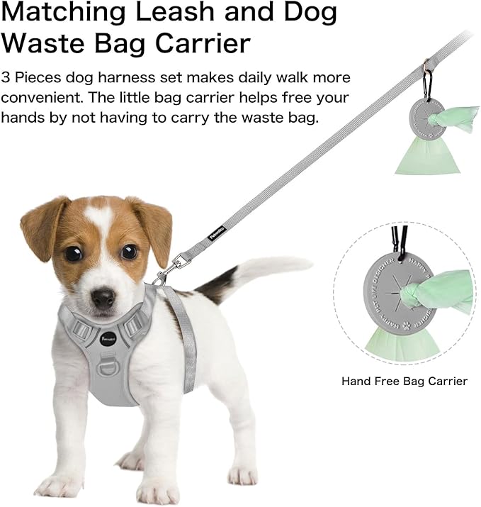 Petmolico Dog Harness for Small Dogs, Cute Harness Vest with Two Leash Clips and Soft Handle, Reflective Easy Walk Puppy Vest - Grey, Medium