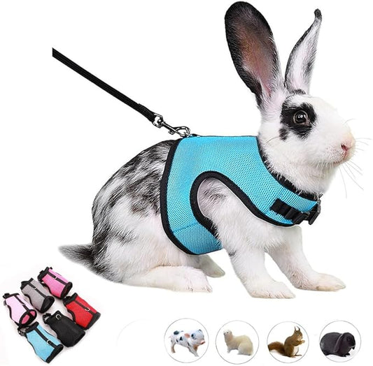 Bunny Harness Proof Set, Rabbit Harness and Leash Set, Vest Mesh Walking Training for Small Animal Pets Rat Squirrel Ferret Chinchillas Guinea Pig Bunnies,Blue XL