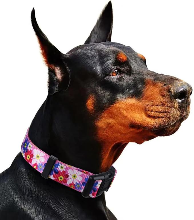 Rhea Rose Dog Collar Special Design Personalized Cute Girl Soft Collars Sunflower, Small