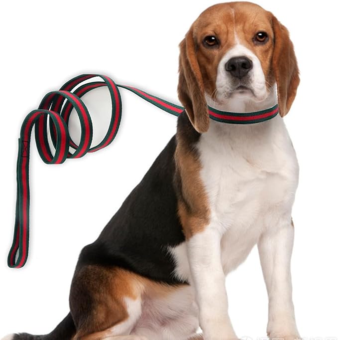 Premium Dog Collar, Cute Dog Collars Luxury Style, Durable Pet Collars and Dog Leash with Metal Buckle Safety for Big Dogs