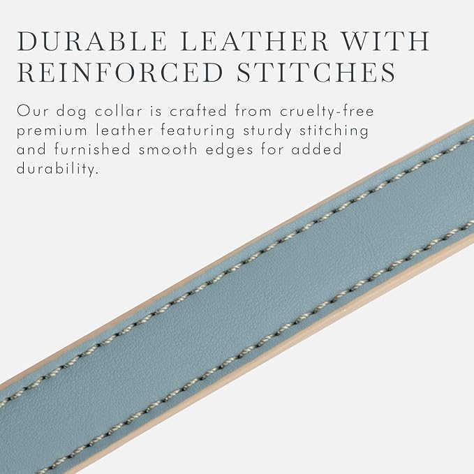 Cupertino Dog Collars, Harnesses & Leashes Made from Vegan Leather with Dog Tracker Device Holder Adjustable Dog Collar - Color Blue, Large