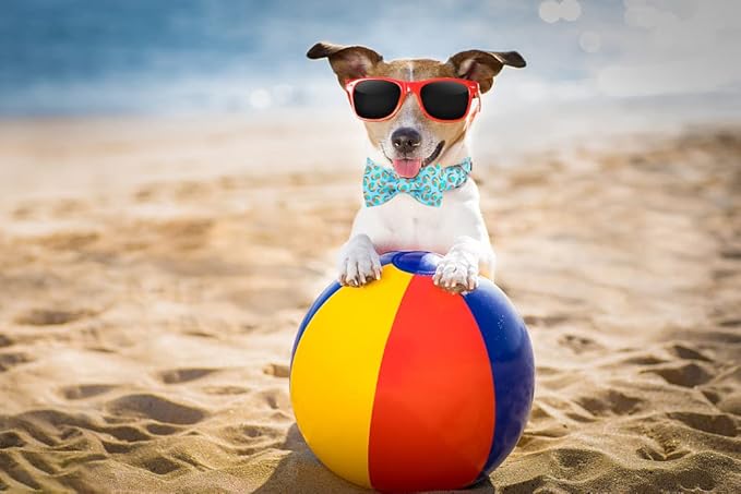 Lionet Paws Summer Dog Collar with Bowtie - Cute Cotton Detachable Bowtie Dog Collar with Metal Buckle for Large Dog Girl Boy, L, Neck 16-24in