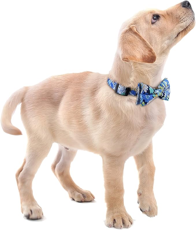 Faleela Cute Soft Girl Dog Collar with Bow, Bowtie Dog Collar for Boy,Detachable Adjustable Collar for Small Medium Large Pet