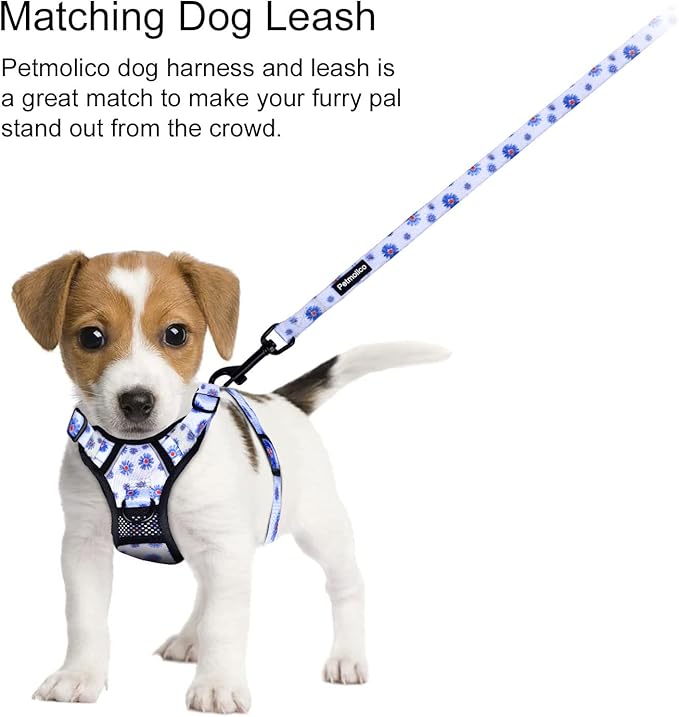 Petmolico No Pull Dog Harness and Leash Set, No Choke 2 Leash Attchments Easy Control Handle Soft Padded Reflective Vest Pet Harness for Medium Dog Breed, Daisy Medium