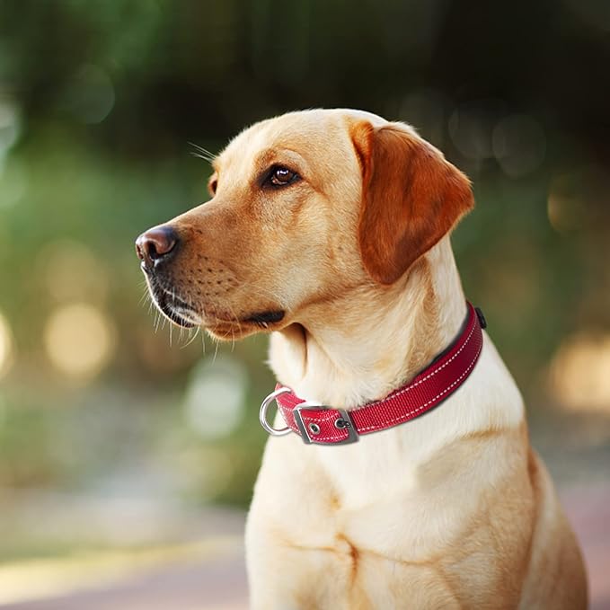 Fida Heavy Duty Dog Collar, Ultra Comfortable Soft Neoprene Padded, Adjustable Reflective Nylon Pet Collar with Durable Metal Belt Buckle for Large Breeds (L, Red)