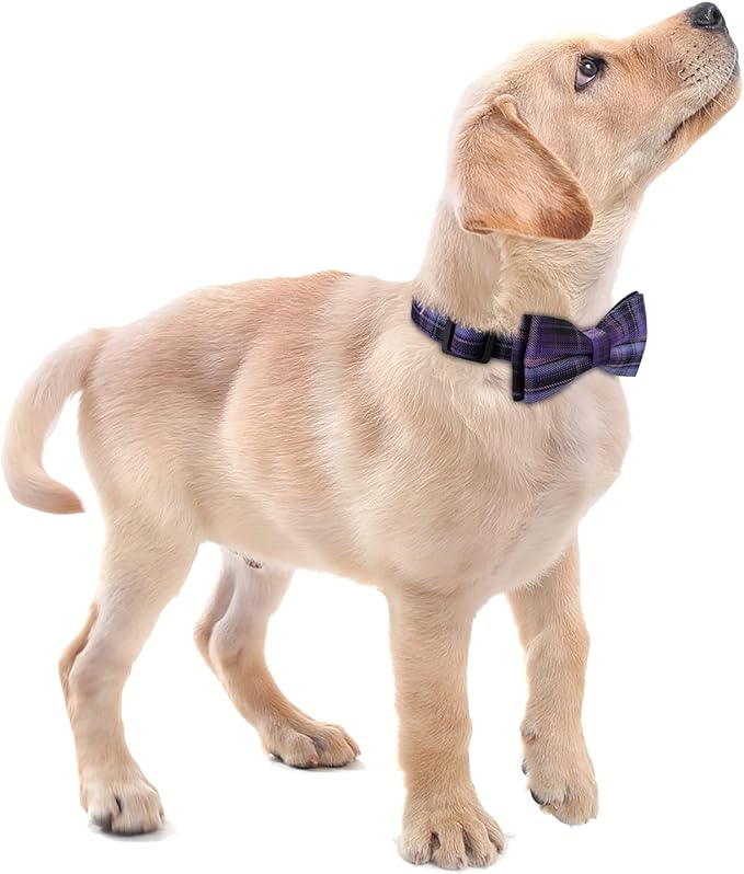 Faleela Soft &Comfy Bowtie Dog Collar,Detachable and Adjustable Bow Tie Collar,for Small Medium Large Pet (Purple, Large(Pack of 1))
