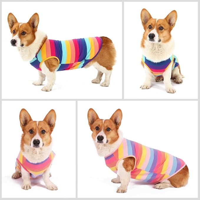 Dog Shirts Cotton Striped T-Shirts, Breathable Basic Vest for Puppy and Cat, Super Soft Stretchable Doggy Tee Tank Top Sleeveless, Fashion & Cute Color for Boys and Girls (S, Rainbow)